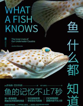鱼什么都知道 鱼的记忆不止7秒